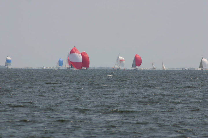 regatta