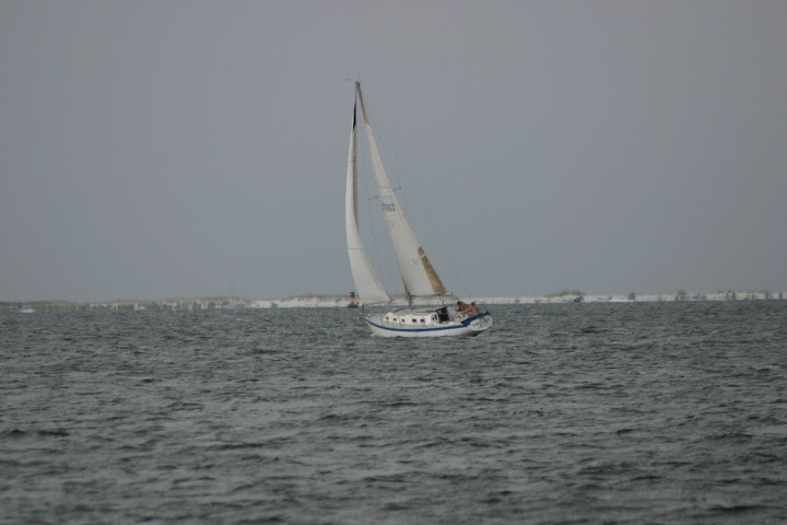 boats