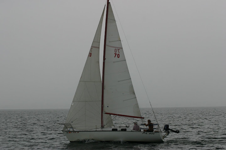 Pirana