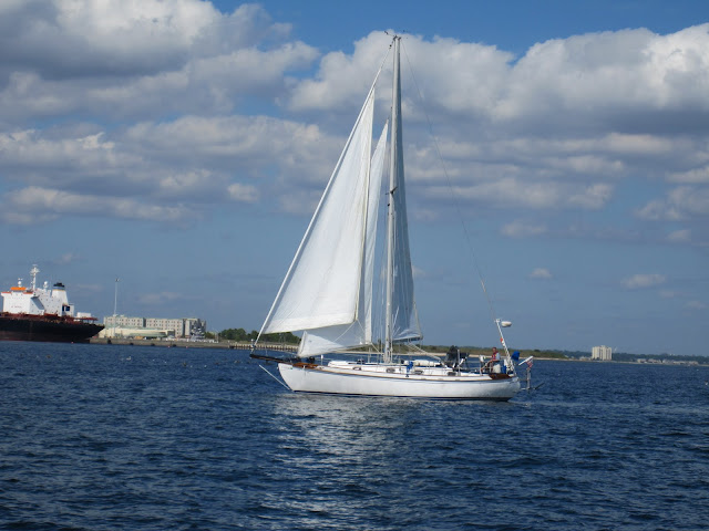 sailing