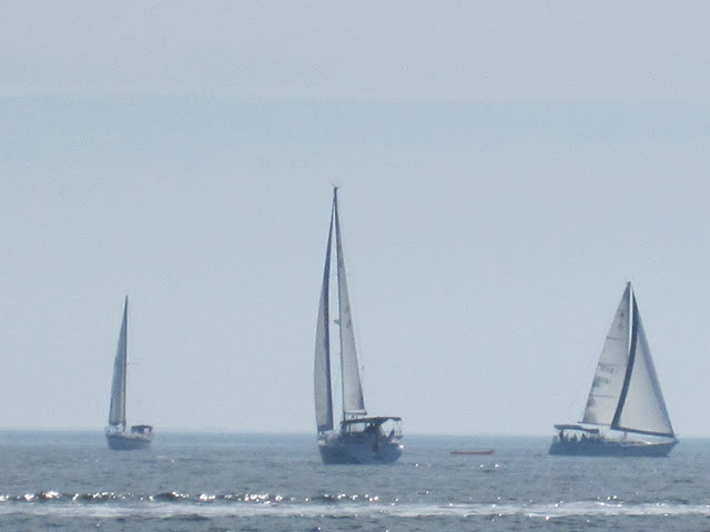 boats