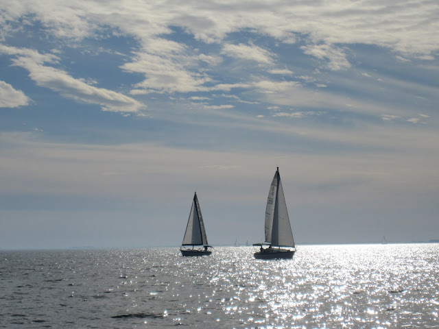 boats