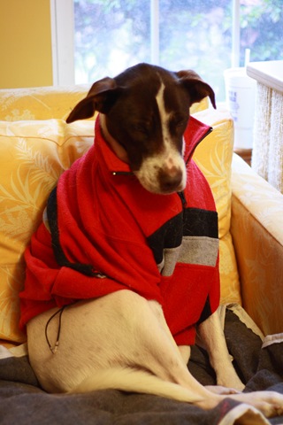 [RAW_20091212_048[3].jpg]