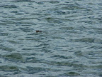 100_0141.JPG