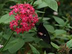Costa Rica, Spring Break, 2007 391.jpg