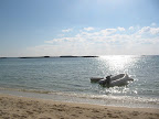 IMG_2782.jpg