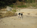 IMG_0346.JPG