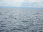 IMG_0423.JPG
