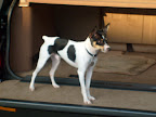 S6300224.JPG
