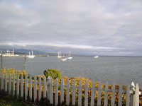 Panorama1_imported_2.jpg