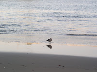 P9150002.JPG