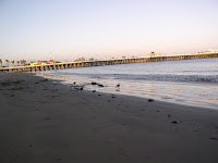 P9150019.JPG