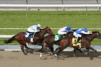 normal_santa-anita-123.jpg