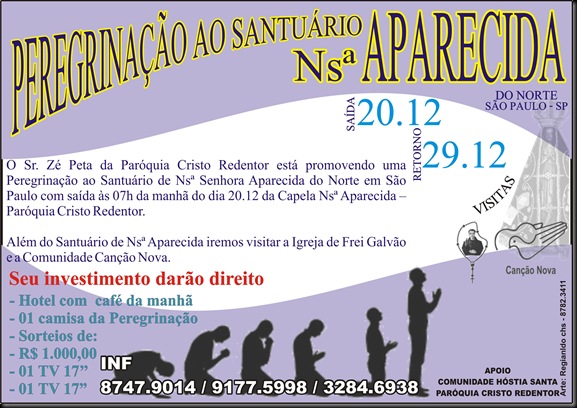 Panfleto Peregrinação 2010