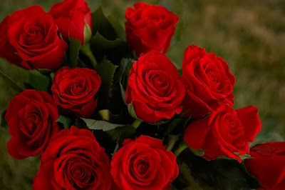 http://lh4.ggpht.com/_w4MdSE7wWpI/S7CrzwXk5PI/AAAAAAAAA6Y/CnS4jBB1lDI/s800/romantic-1.jpg