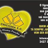 Imagem10.jpg