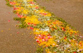 Um tapete de flores torna as portas da entrada das casas mais convidativas para a visita. Como que a dizer, entrem, venham cá também, cantar aleluias!