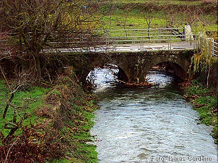 Ponte velha vendo muita água passar Ponte velha vendo muita água passar