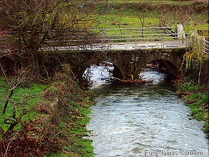 Ponte velha vendo muita água passar 