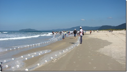 IMG_3402 IMG_3402