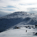 Northern Presidentials