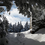 Owl's Head and Waumbek