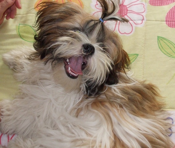 [organizar 046[9].jpg]