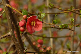 P1100445.JPG