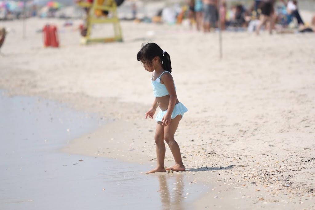 IMAGE: http://lh4.ggpht.com/_w9jT_GnjZSc/S6vNEe-DbJI/AAAAAAAAARk/WmnCyhZgjDk/s1024/IMG_4848.JPG