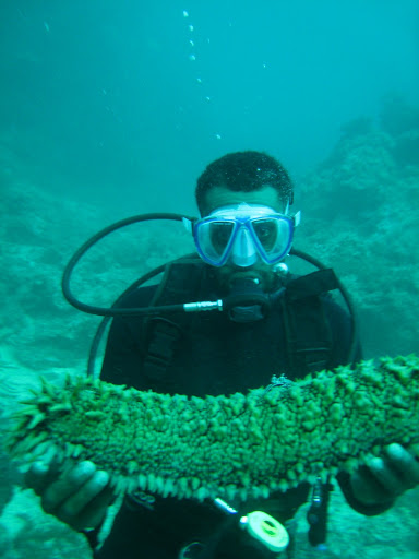 Divemaster