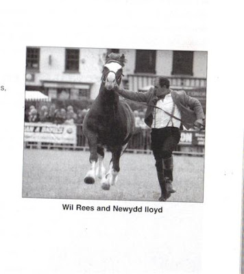 Will & Lloyd Aberaeron Will & Lloyd Aberaeron