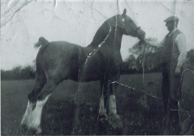 Brenin Gwalia