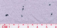 Purple_Navy1x1