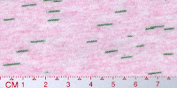STAR 0051A