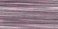 ZEBRA0065