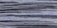 ZEBRA0023