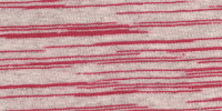 ZEBRA0025