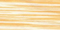 ZEBRA0051