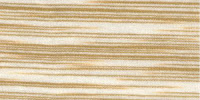 ZEBRA0052