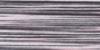 ZEBRA0062