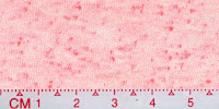 NEP-0121U-Raw-White