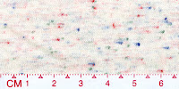 NEP-0094K(Raw white product)