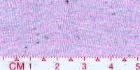 COOL-0055 (Bleached by buyer)