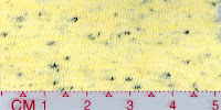 COOL-0029 (Bleached by buyer)