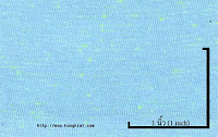 NEP-0124U(Light Blue KKA100-2-Green Luminous1x2)
