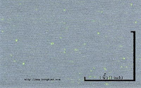 NEP-0124U<br />
(Grey KKZ156-1-Green Luminous1x2)