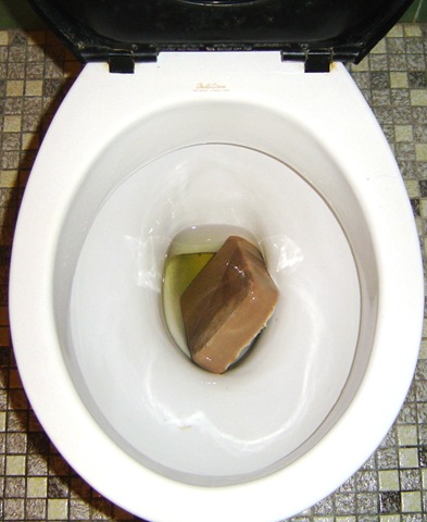 [agar agar in toilet 2[5].jpg]