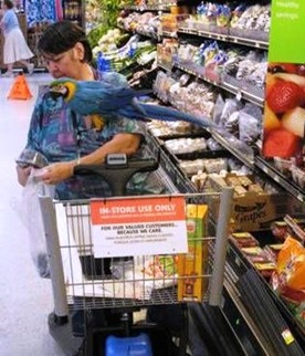 weird people walmart 2 weird people walmart 2