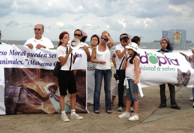 [Marcha a favor de los animales octubre (3)[5].jpg]