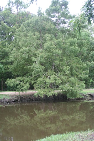 [road trip 2009 070.jpg]